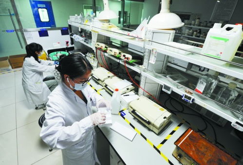 讓創新中藥綻放更多光彩 以嶺藥業以理論創新驅動中醫藥產業化、現代化、國際化